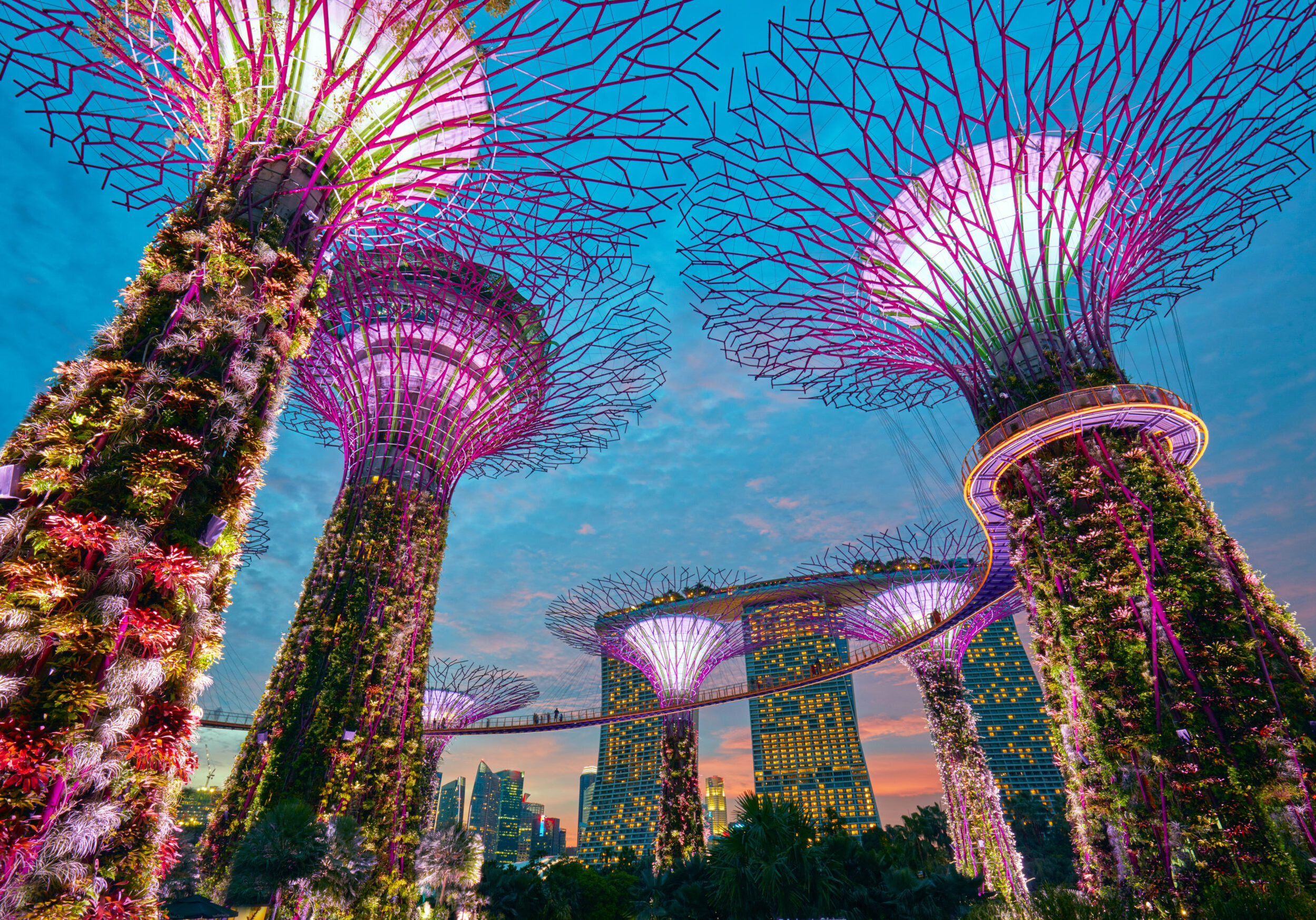 Singapore,-,May,22,,2016:,Supertrees,At,Gardens,By,The